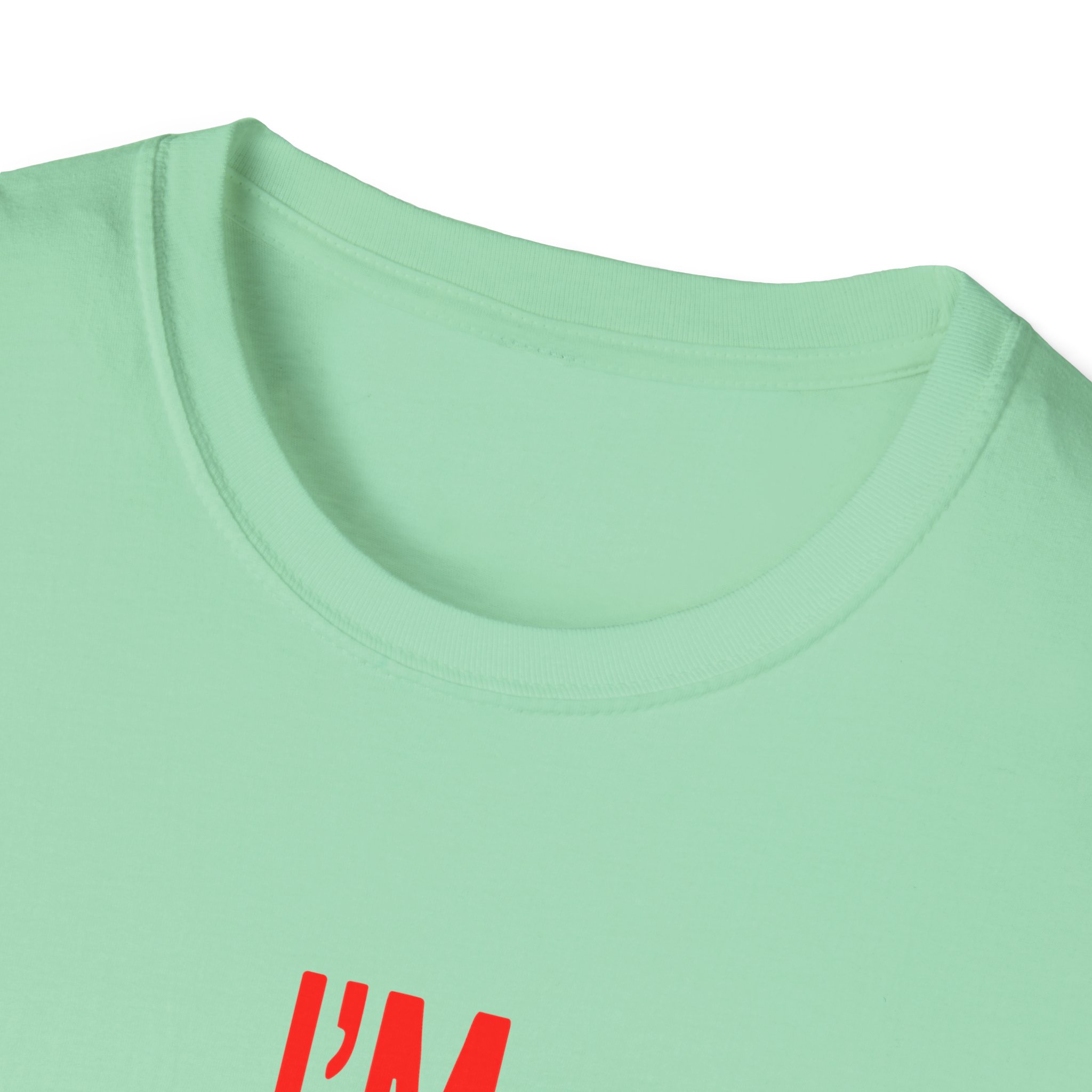 JT Im Everything Unisex Softstyle T-shirt