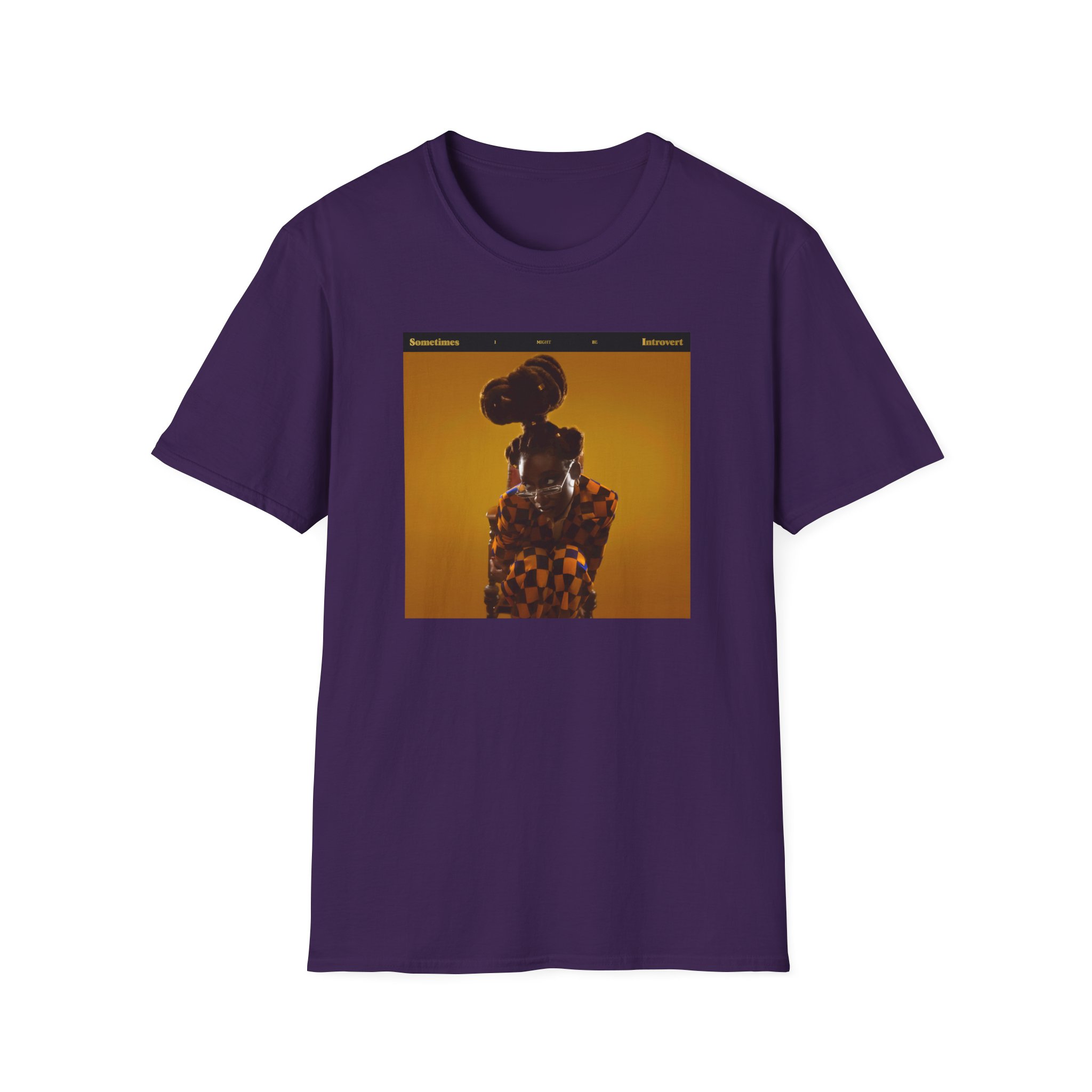 Little Simz Sometimes I Might Be Introvert Unisex Softstyle T-Shirt