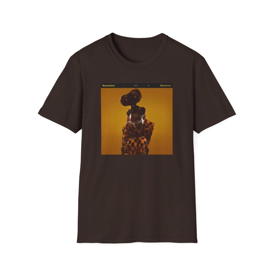 Little Simz Sometimes I Might Be Introvert Unisex Softstyle T-Shirt