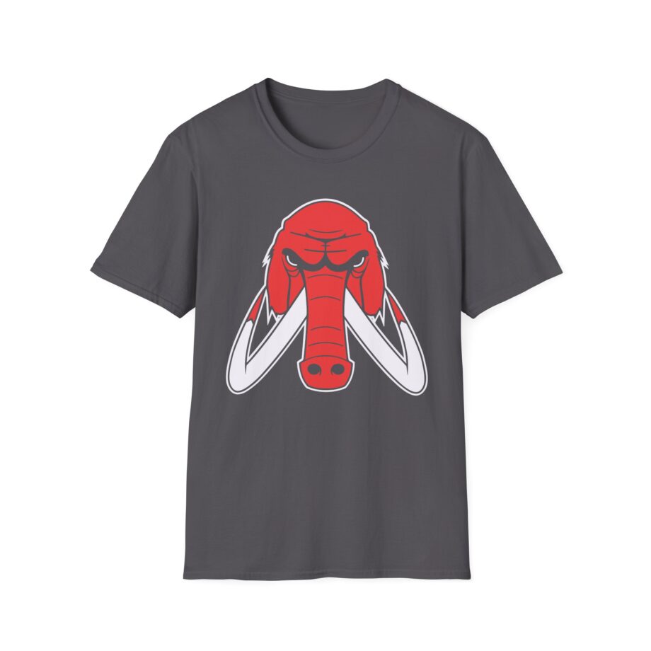 Wooli Chicago Unisex Softstyle T-Shirt
