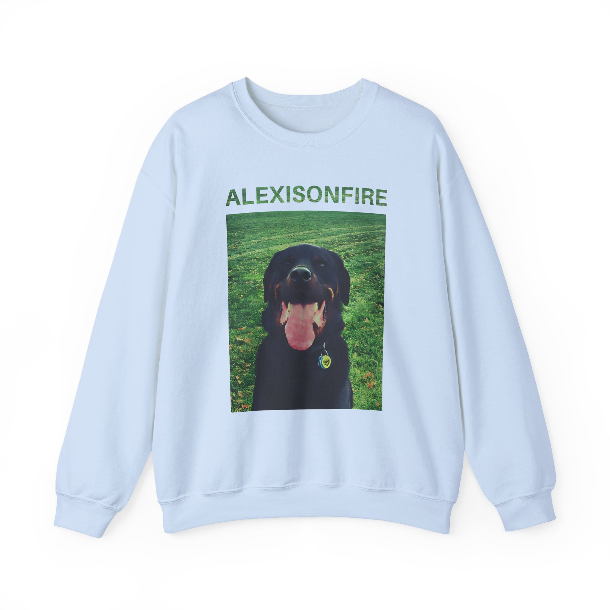 Alexisonfire Brixton Unisex Heavy Blendâ„¢ Crewneck Sweatshirt