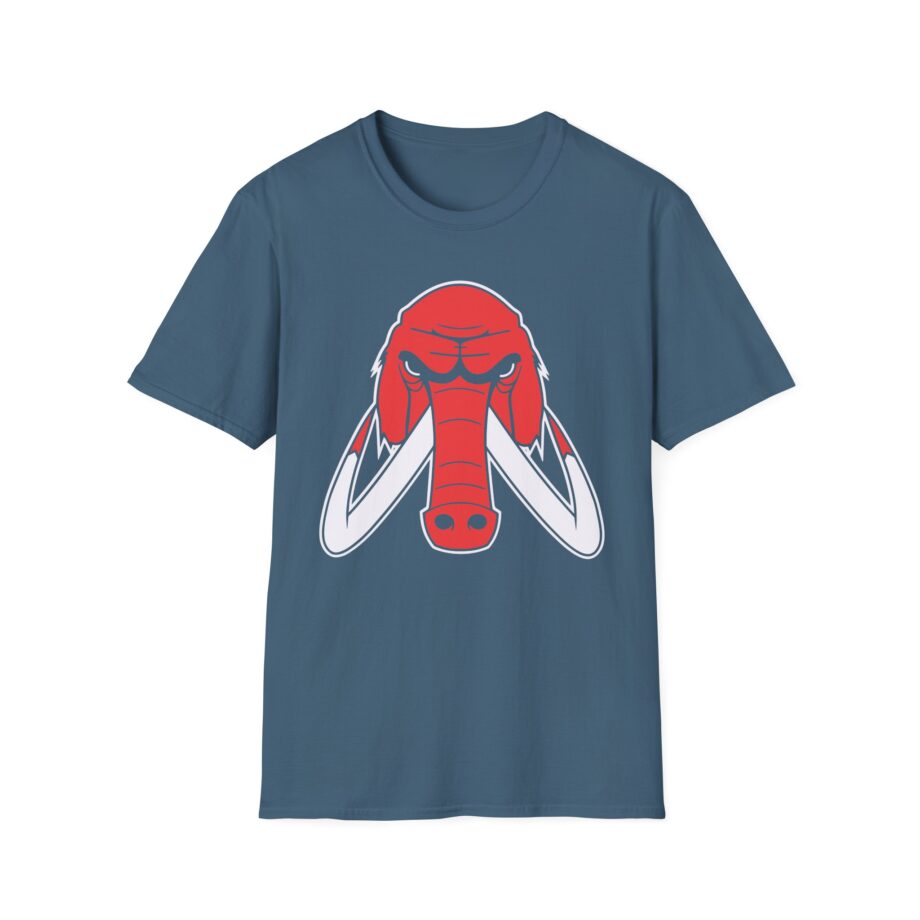 Wooli Chicago Unisex Softstyle T-Shirt