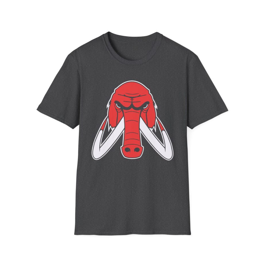Wooli Chicago Unisex Softstyle T-Shirt