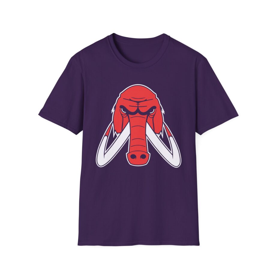 Wooli Chicago Unisex Softstyle T-Shirt