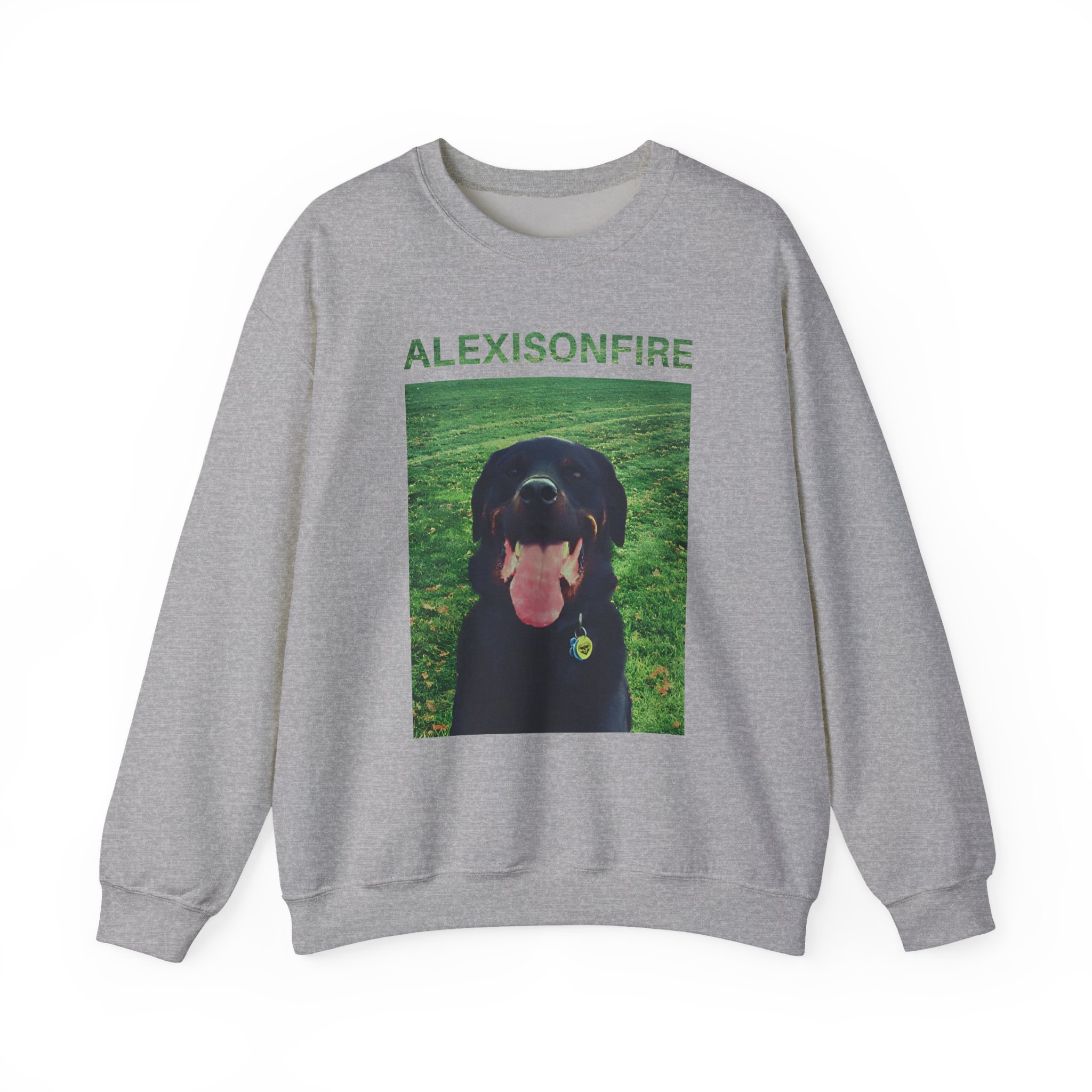 Alexisonfire Brixton Unisex Heavy Blendâ„¢ Crewneck Sweatshirt