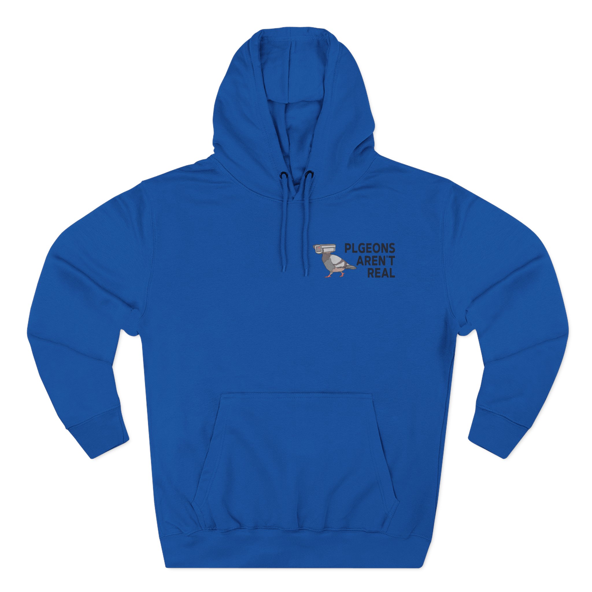 Birds Arent Real Three-Panel Fleece Hoodie