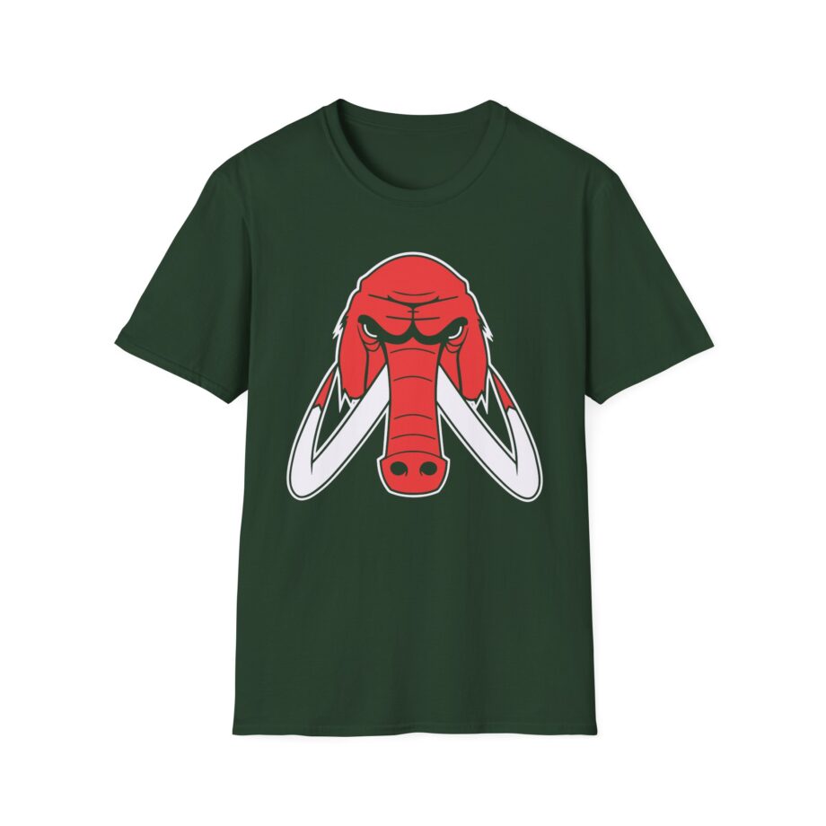 Wooli Chicago Unisex Softstyle T-Shirt