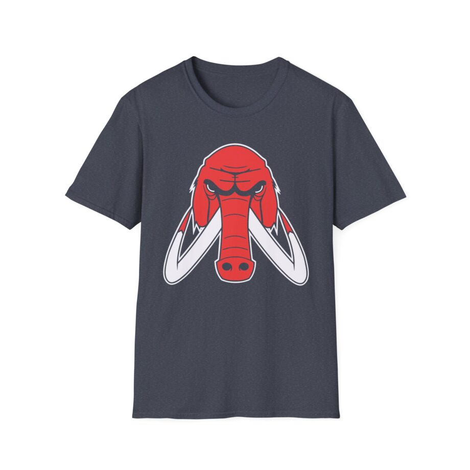 Wooli Chicago Unisex Softstyle T-Shirt