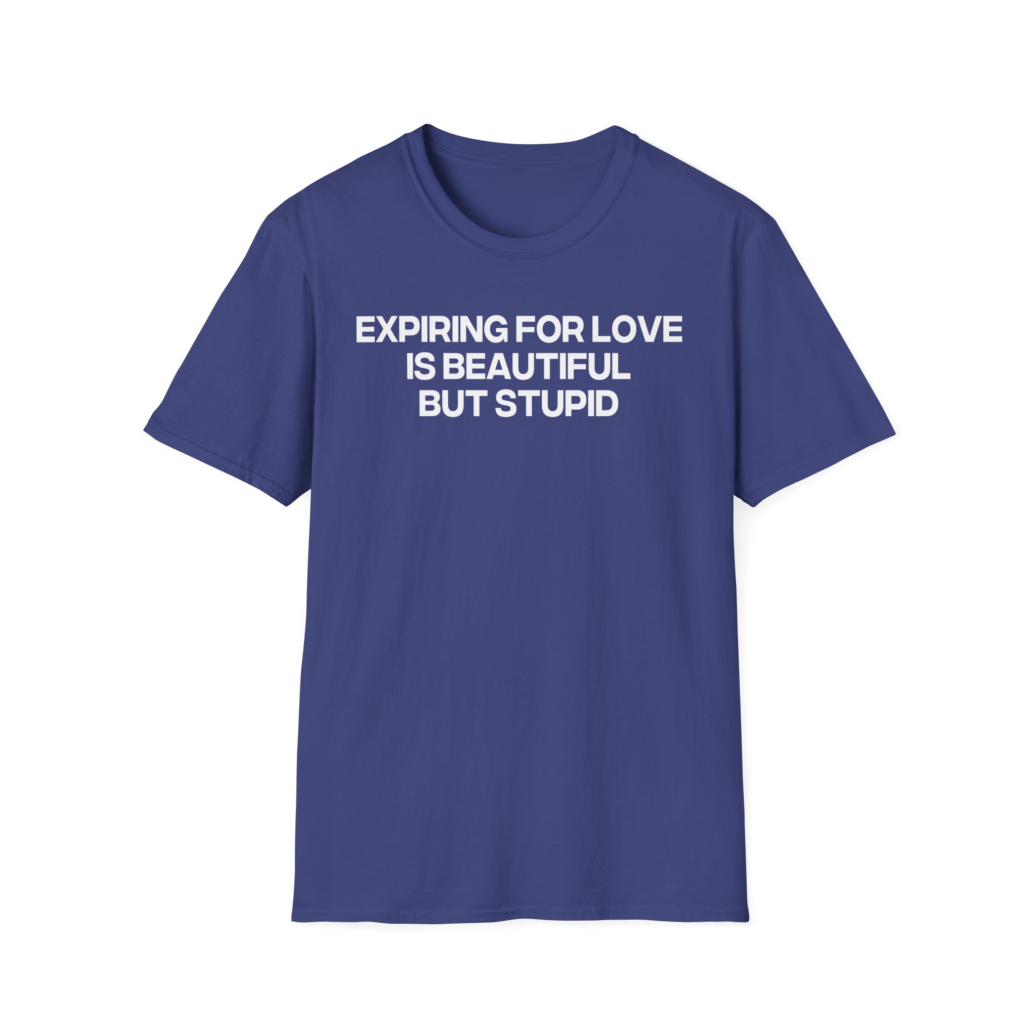 Jenny Holzer Expiring for Love is Beautiful but Stupid Unisex Softstyle T-Shirt