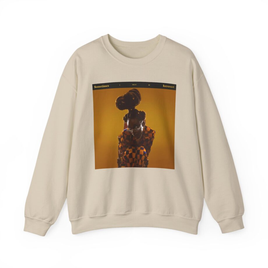 Little Simz Sometimes I Might Be Introvert Unisex Heavy Blend™ Crewneck Sweatshirt