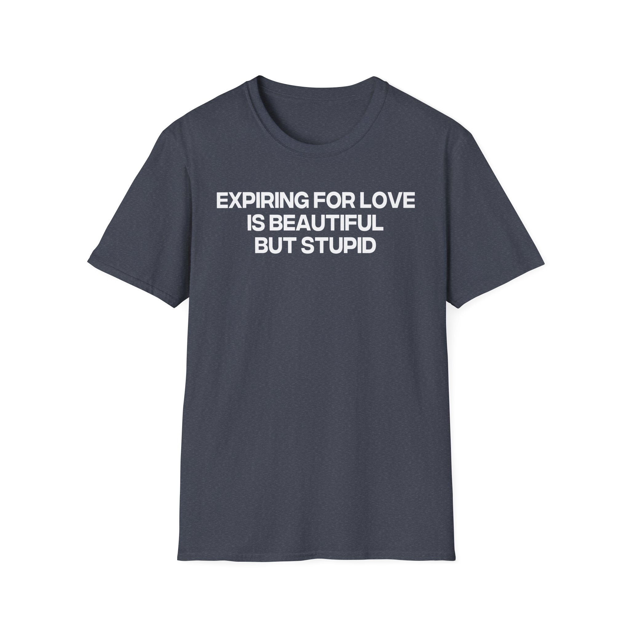 Jenny Holzer Expiring for Love is Beautiful but Stupid Unisex Softstyle T-Shirt