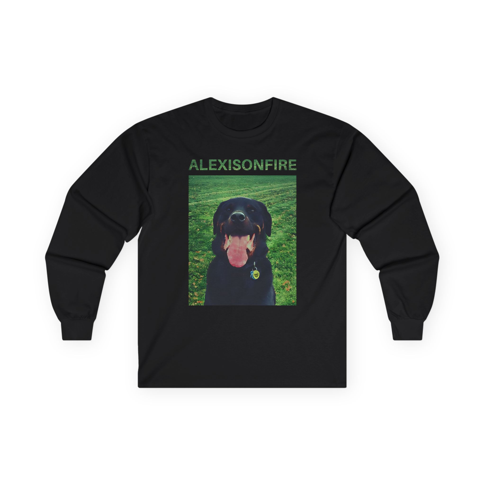 Alexisonfire Brixton Unisex Ultra Cotton Long Sleeve Tee
