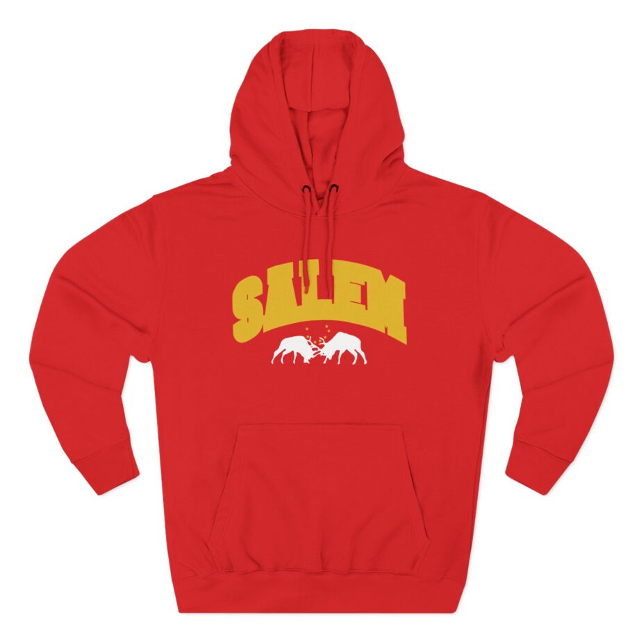 Salem Collegiate Three-Panel Fleece Hoodie