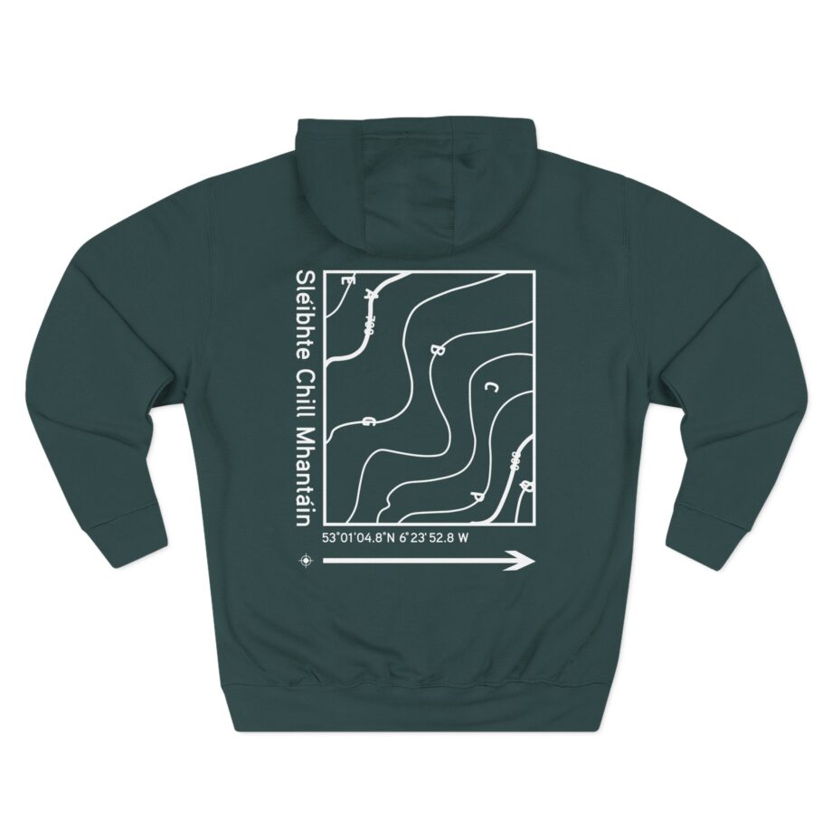 Dermot Kennedy Three-Panel Fleece Hoodie