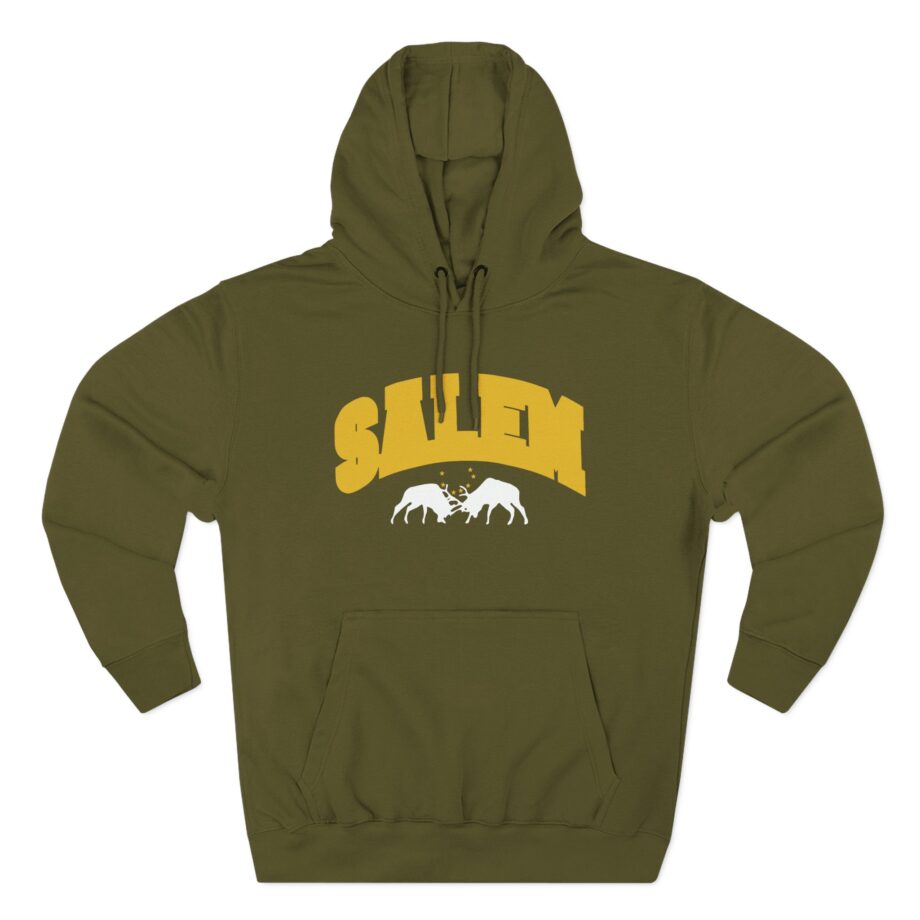 Salem Collegiate Three-Panel Fleece Hoodie