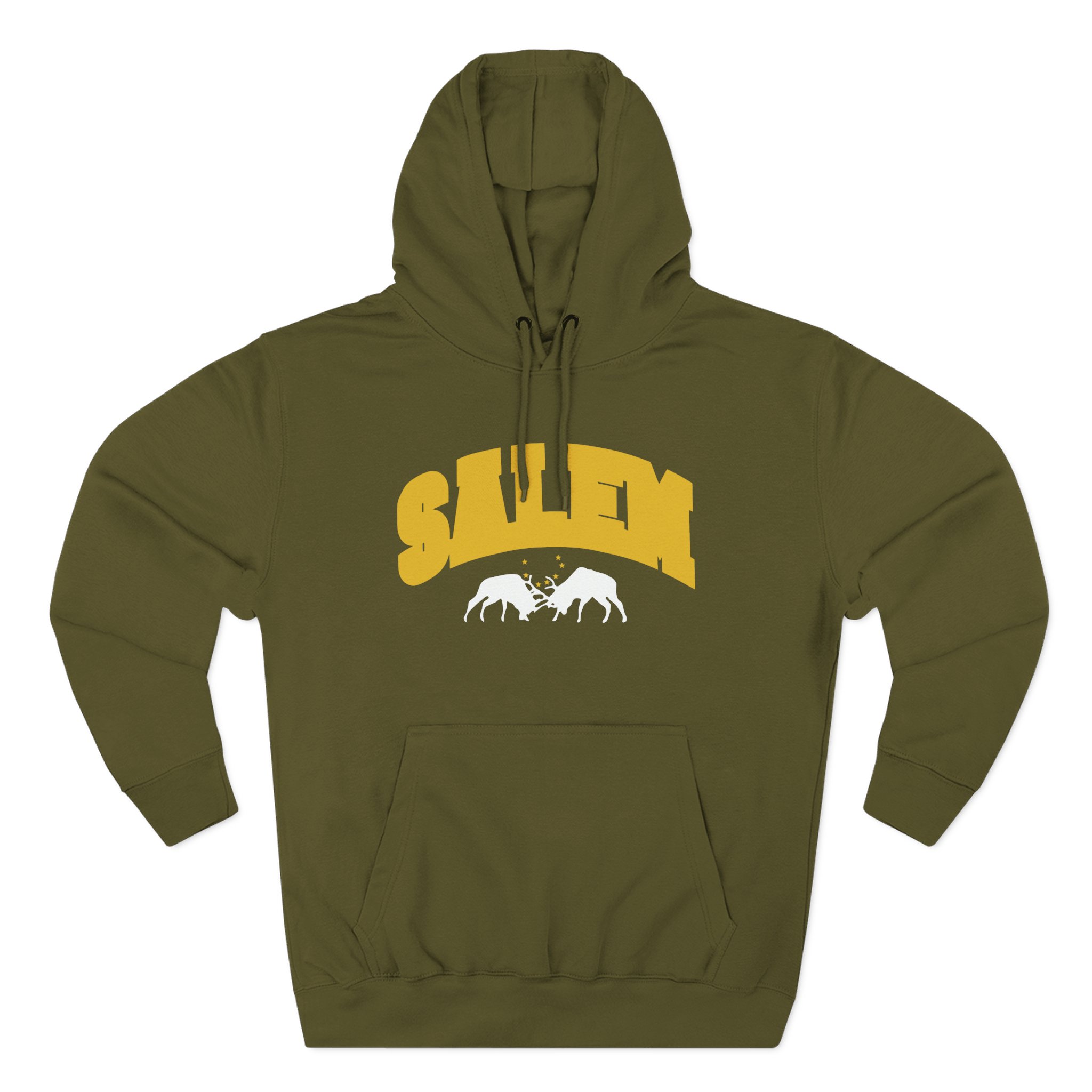 Salem Collegiate Three-Panel Fleece Hoodie