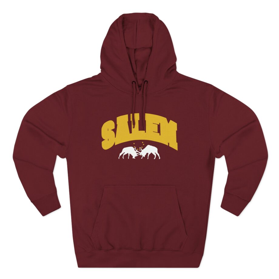 Salem Collegiate Three-Panel Fleece Hoodie