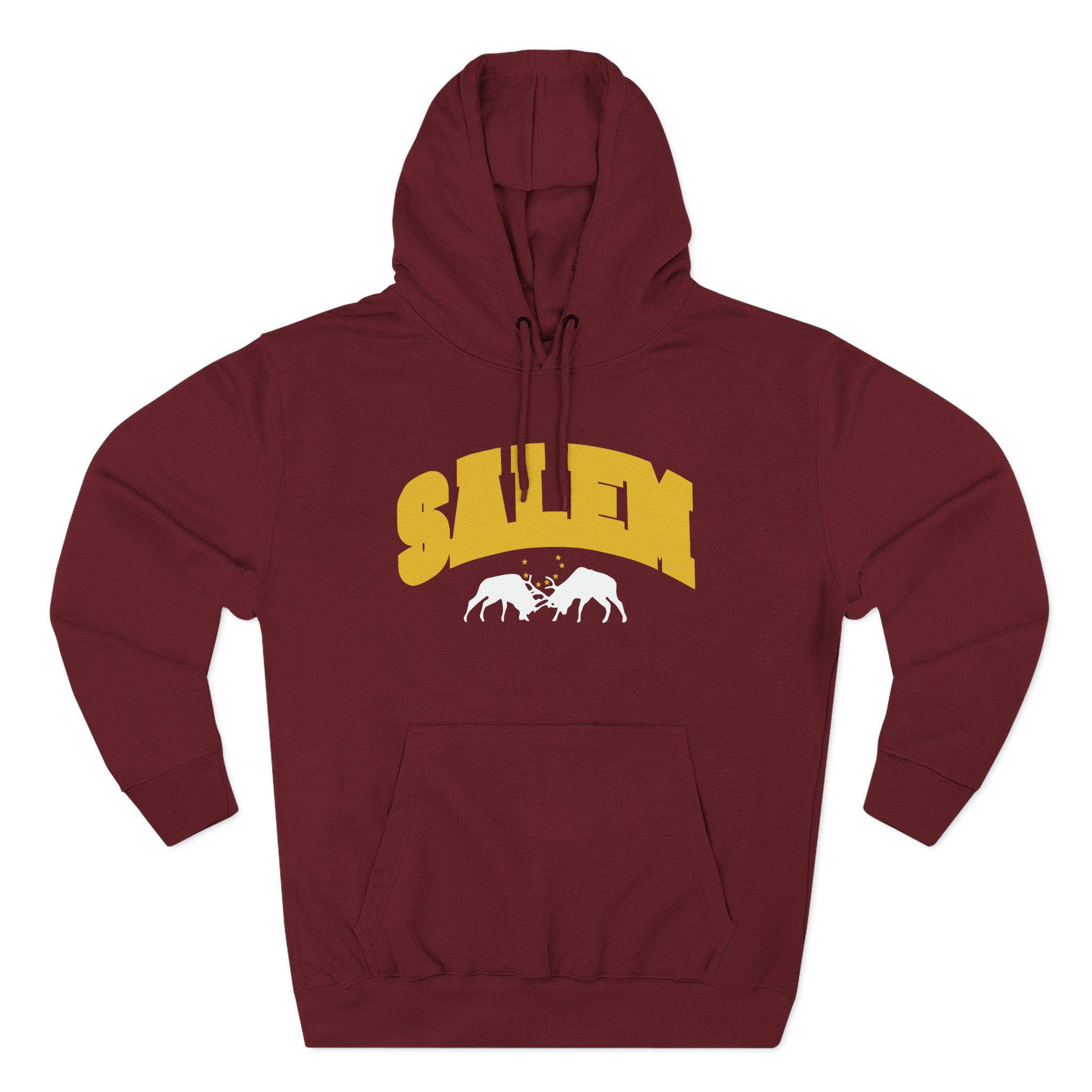 Salem Collegiate Three-Panel Fleece Hoodie
