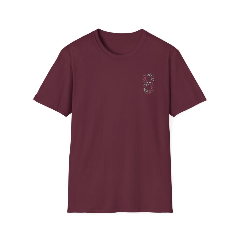 Rufus Du Sol Tour Concert Unisex Softstyle T-Shirt