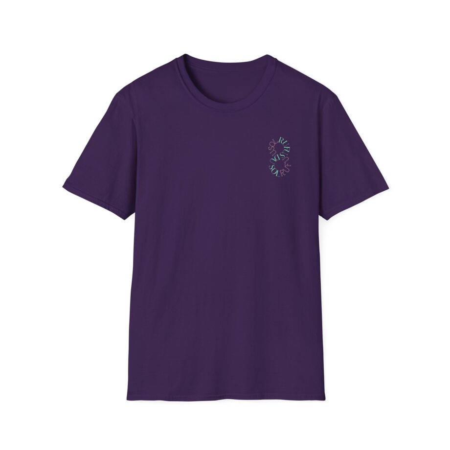 Rufus Du Sol Tour Concert Unisex Softstyle T-Shirt