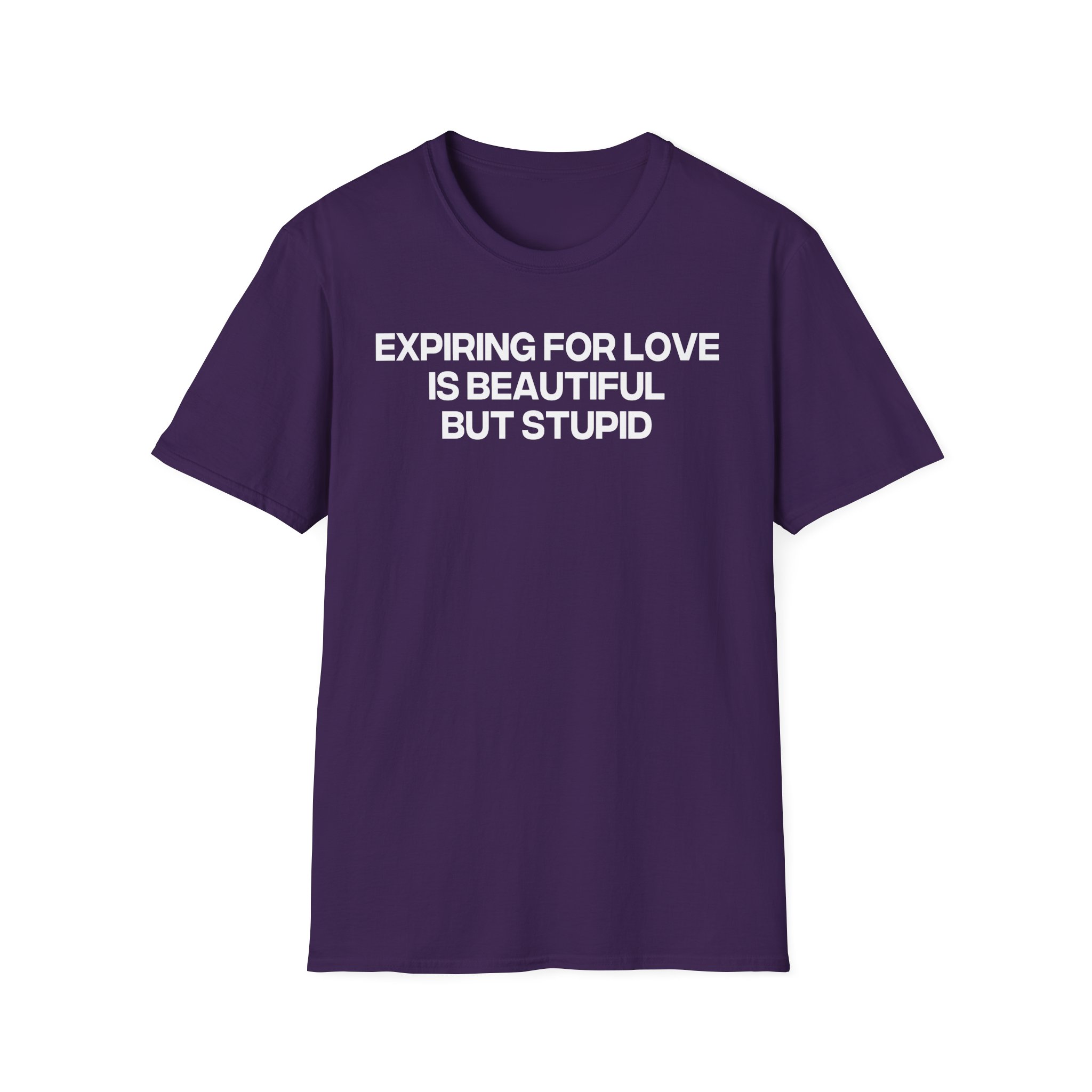 Jenny Holzer Expiring for Love is Beautiful but Stupid Unisex Softstyle T-Shirt