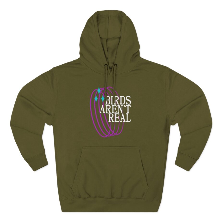 Birds Arent Real Three-Panel Fleece Hoodie