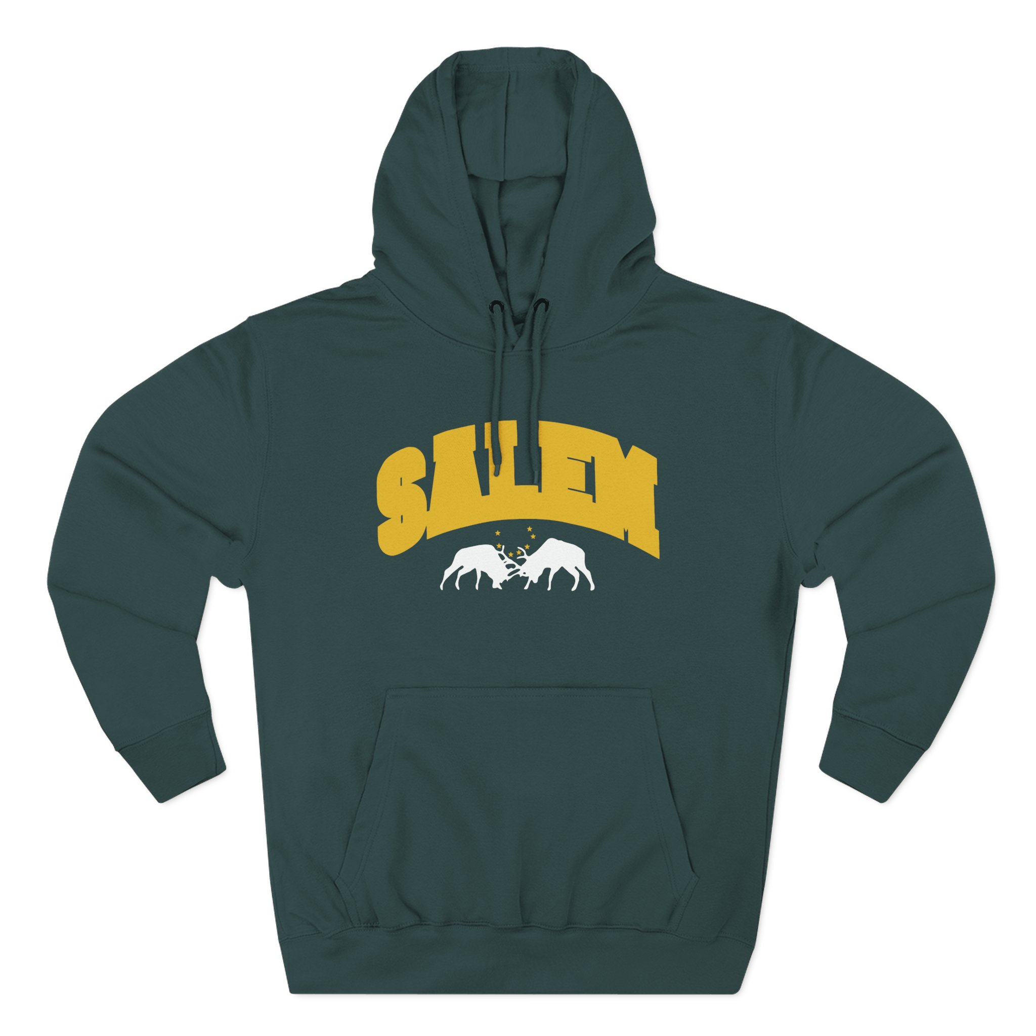 Salem Collegiate Three-Panel Fleece Hoodie