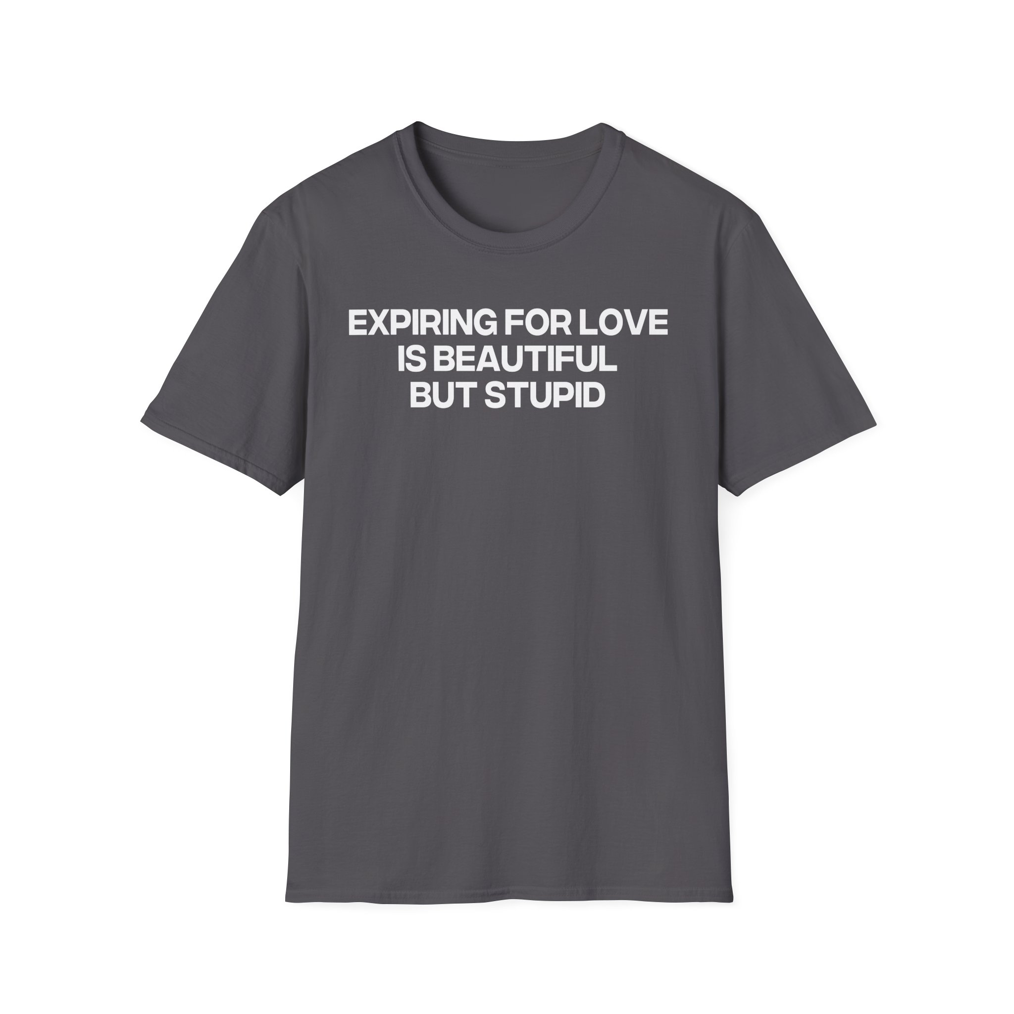 Jenny Holzer Expiring for Love is Beautiful but Stupid Unisex Softstyle T-Shirt