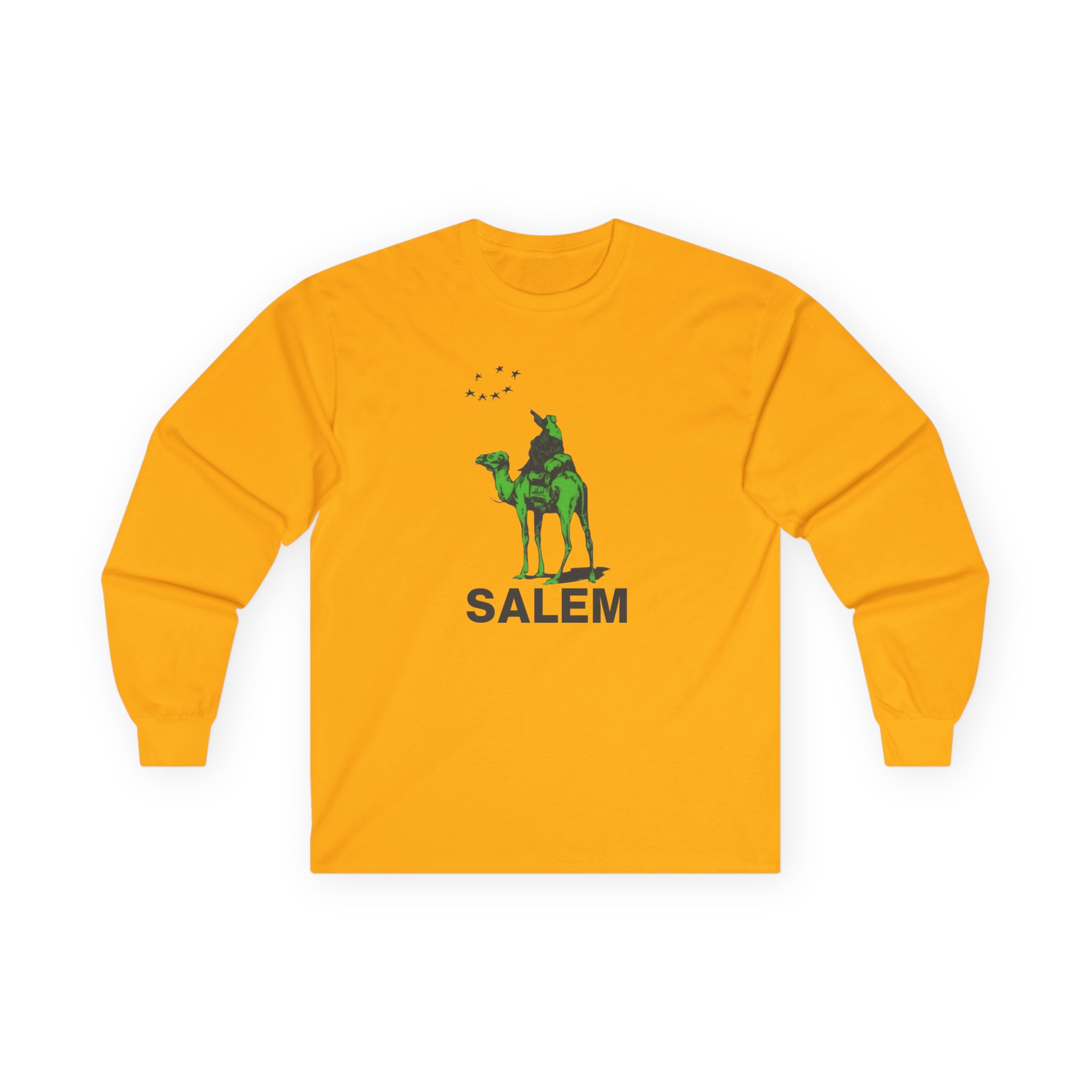 Salem Silkroad Unisex Ultra Cotton Long Sleeve Tee