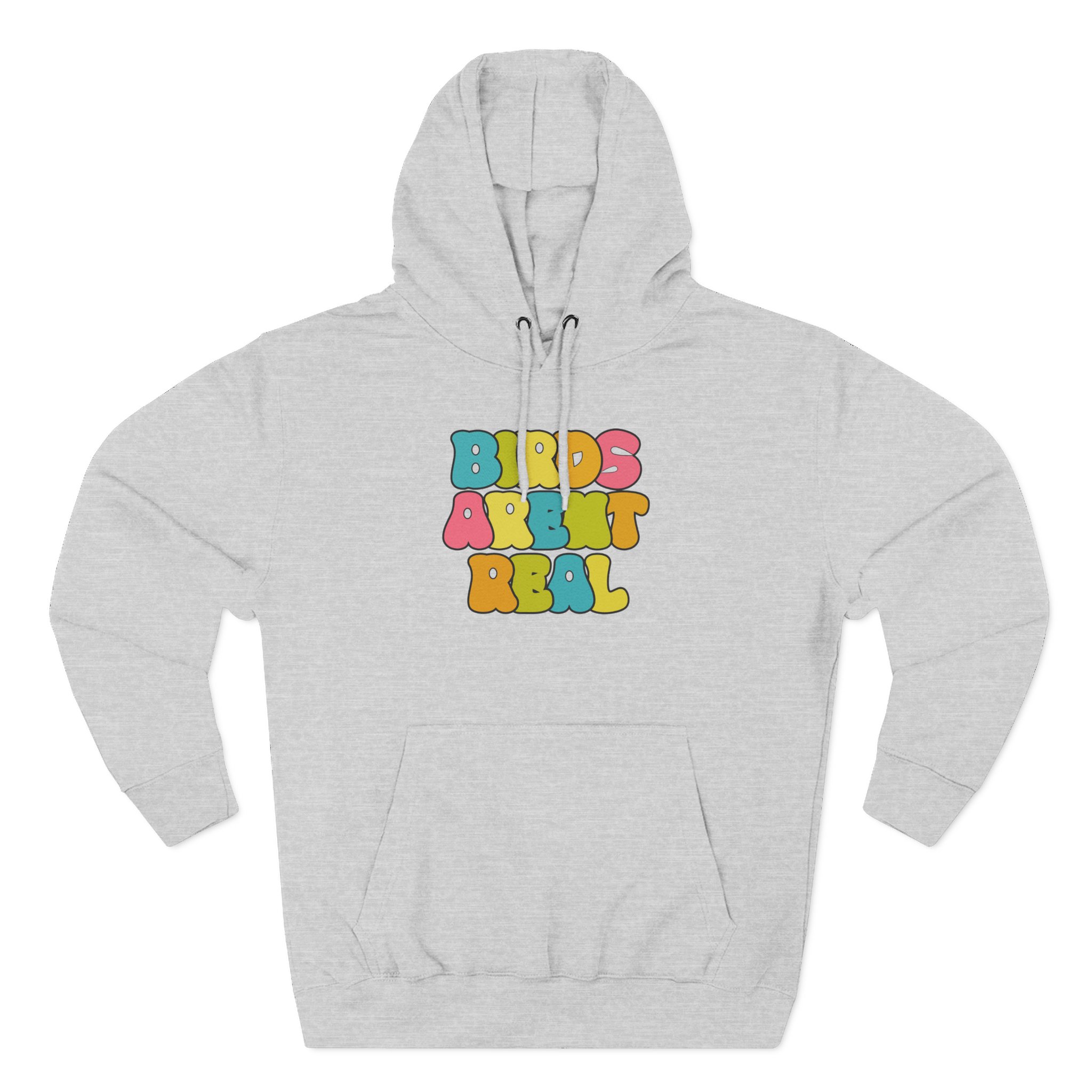 Birds Arent Real Three-Panel Fleece Hoodie