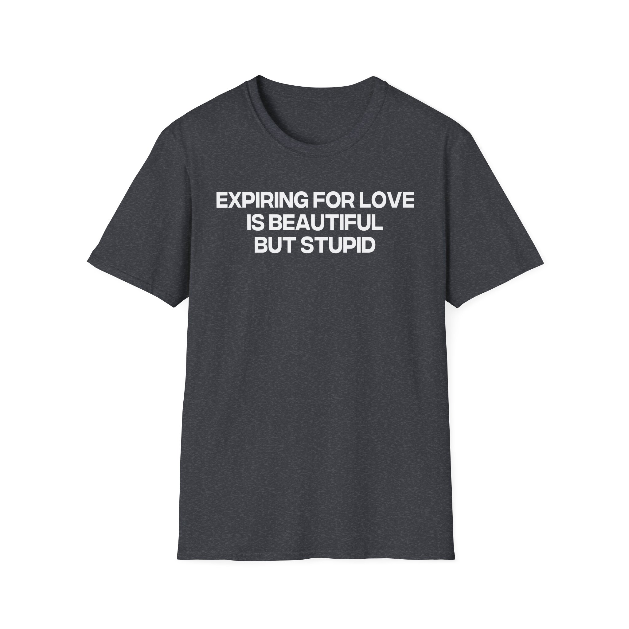 Jenny Holzer Expiring for Love is Beautiful but Stupid Unisex Softstyle T-Shirt