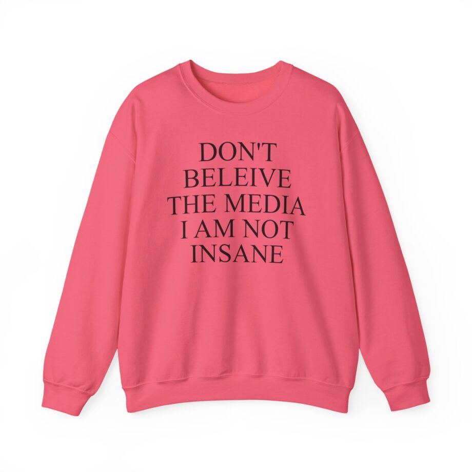 Joost Klein Don't Believe the Media I Am Not Insane Unisex Heavy Blend™ Crewneck Sweatshirt