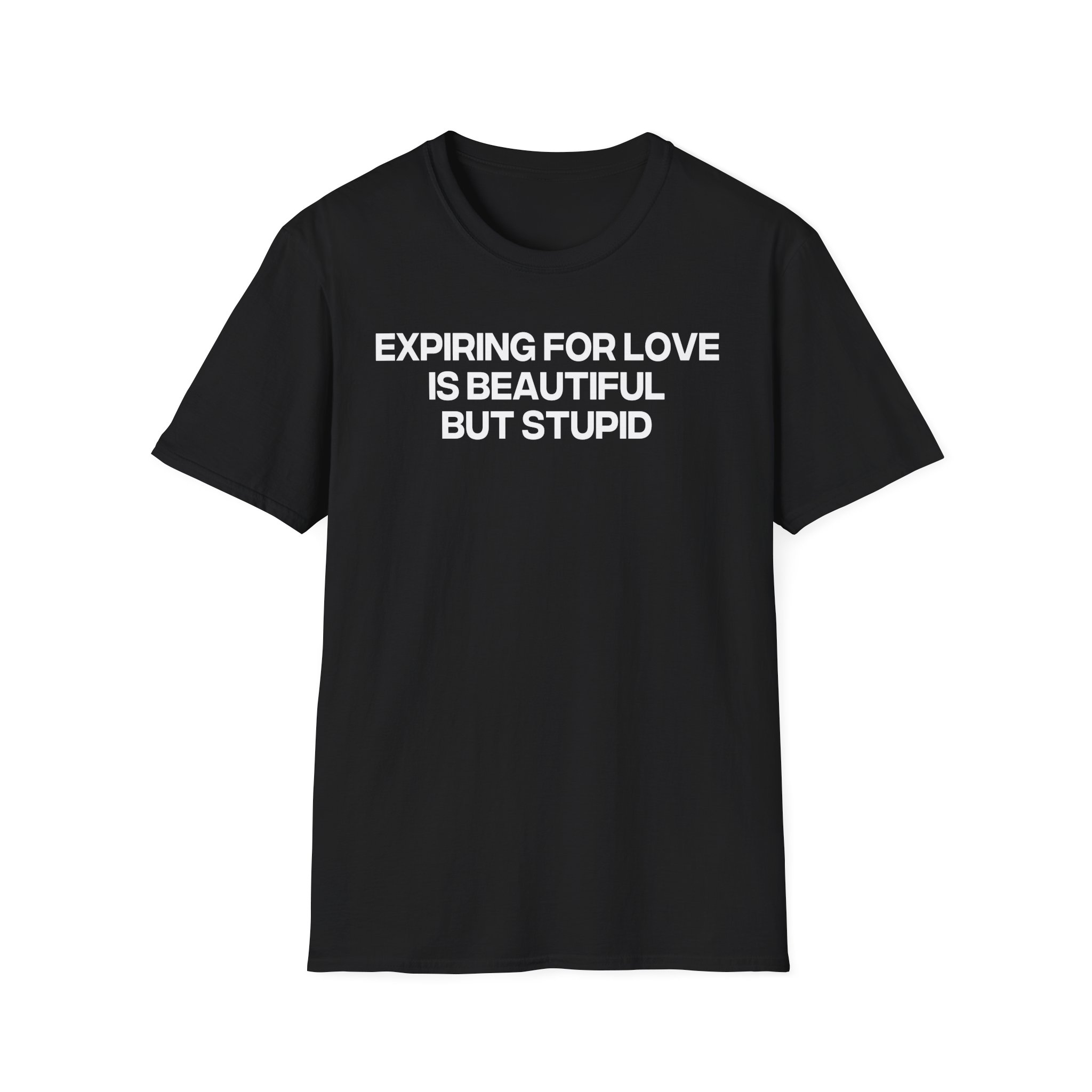 Jenny Holzer Expiring for Love is Beautiful but Stupid Unisex Softstyle T-Shirt