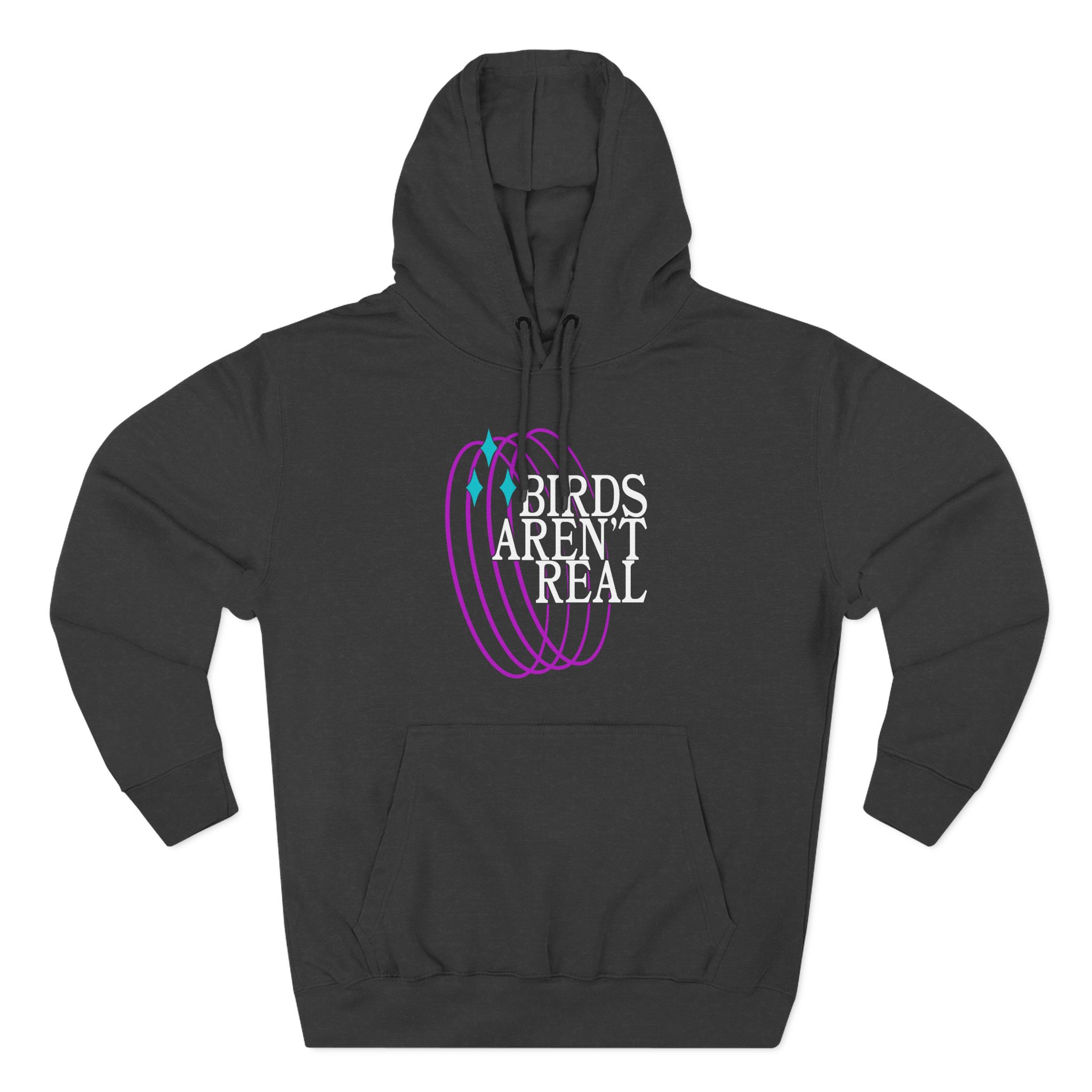 Birds Arent Real Three-Panel Fleece Hoodie