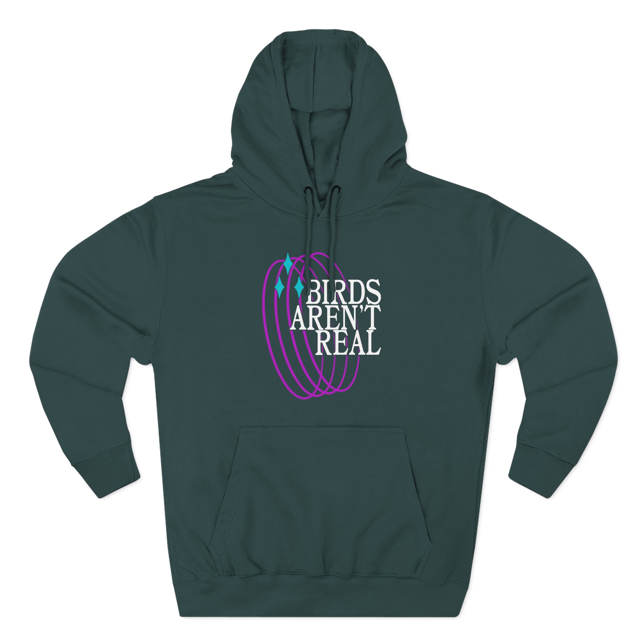 Birds Arent Real Three-Panel Fleece Hoodie