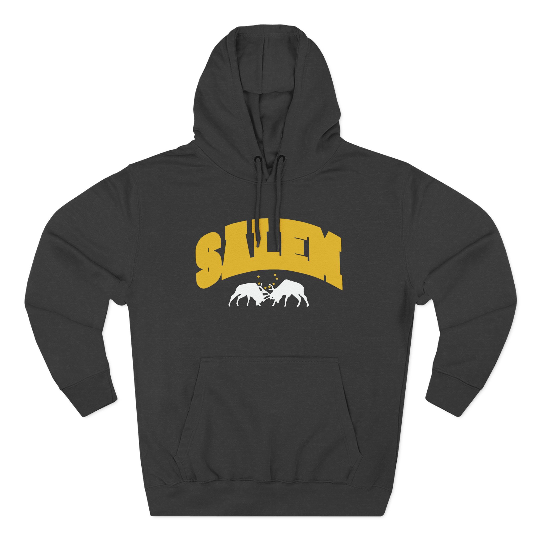 Salem Collegiate Three-Panel Fleece Hoodie