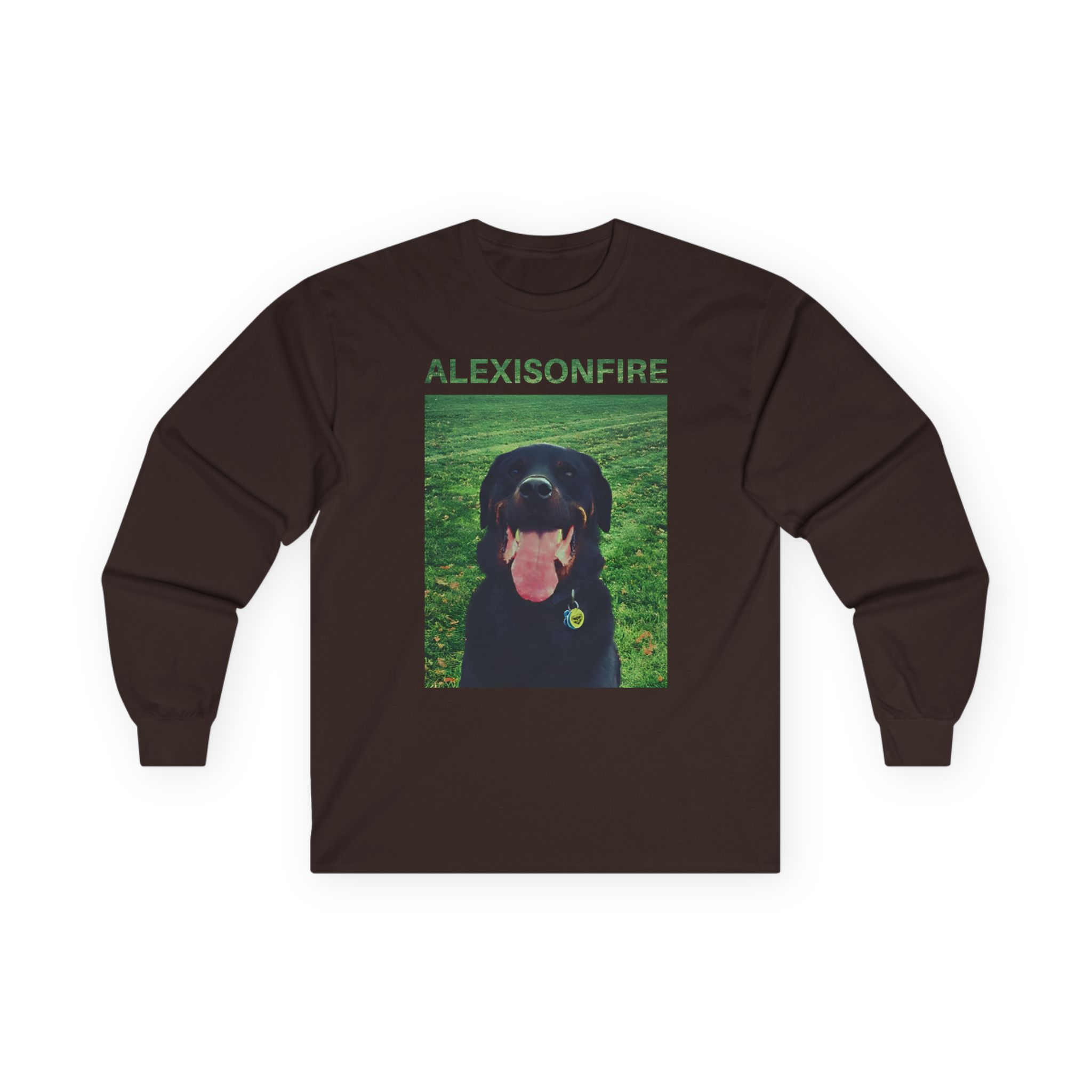 Alexisonfire Brixton Unisex Ultra Cotton Long Sleeve Tee
