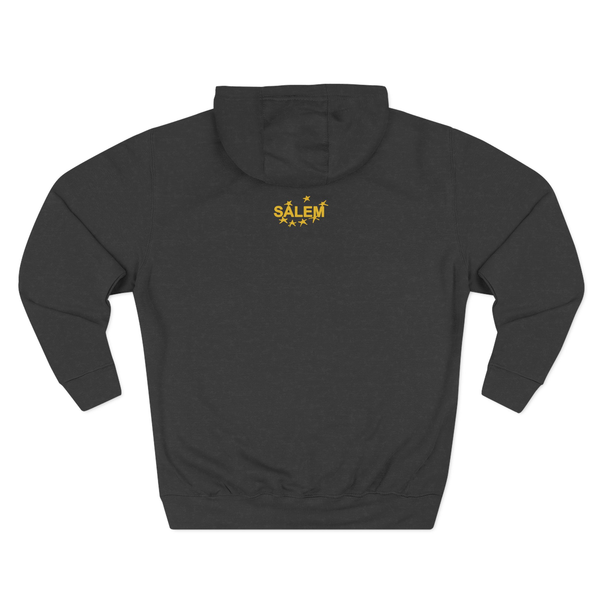 Salem Collegiate Three-Panel Fleece Hoodie