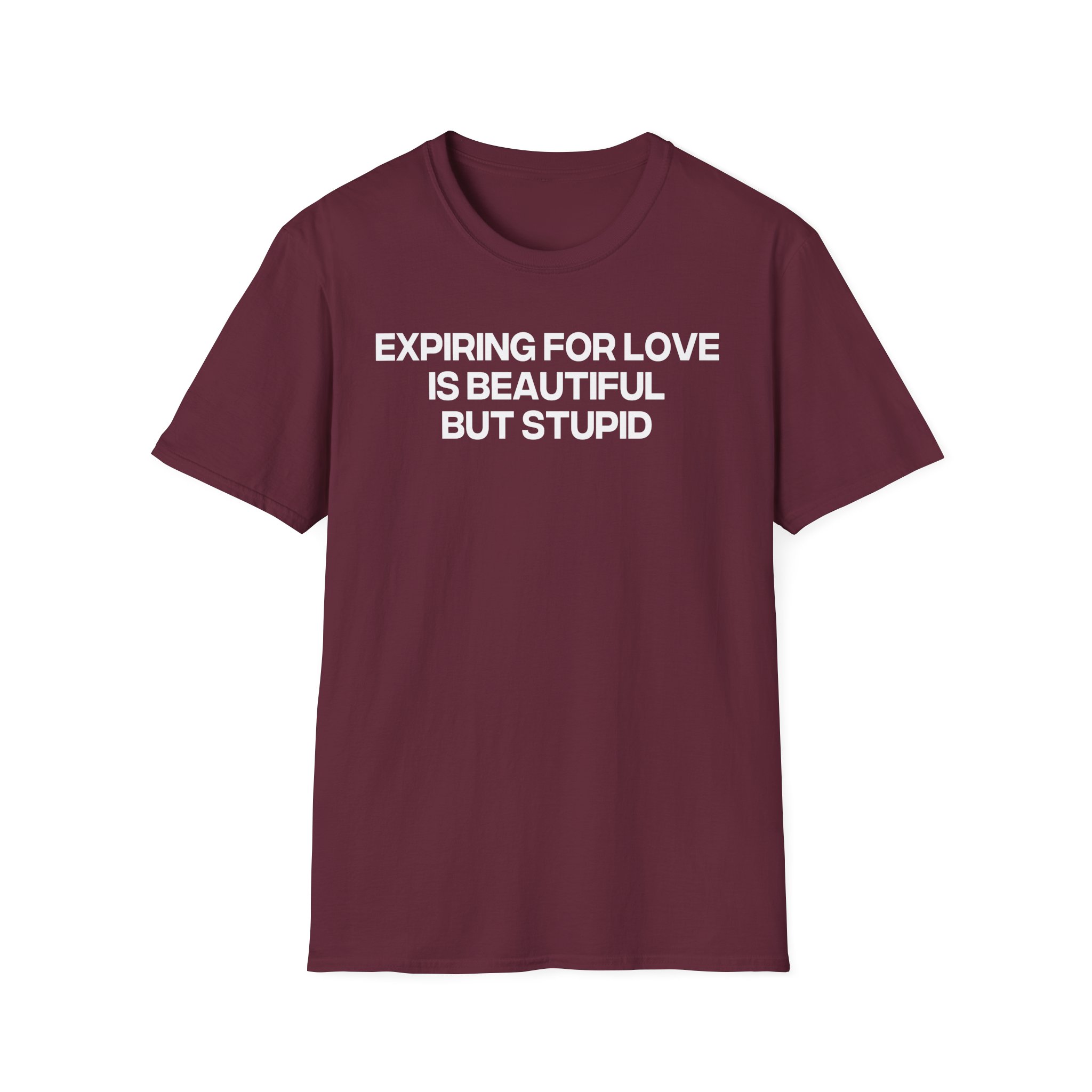 Jenny Holzer Expiring for Love is Beautiful but Stupid Unisex Softstyle T-Shirt