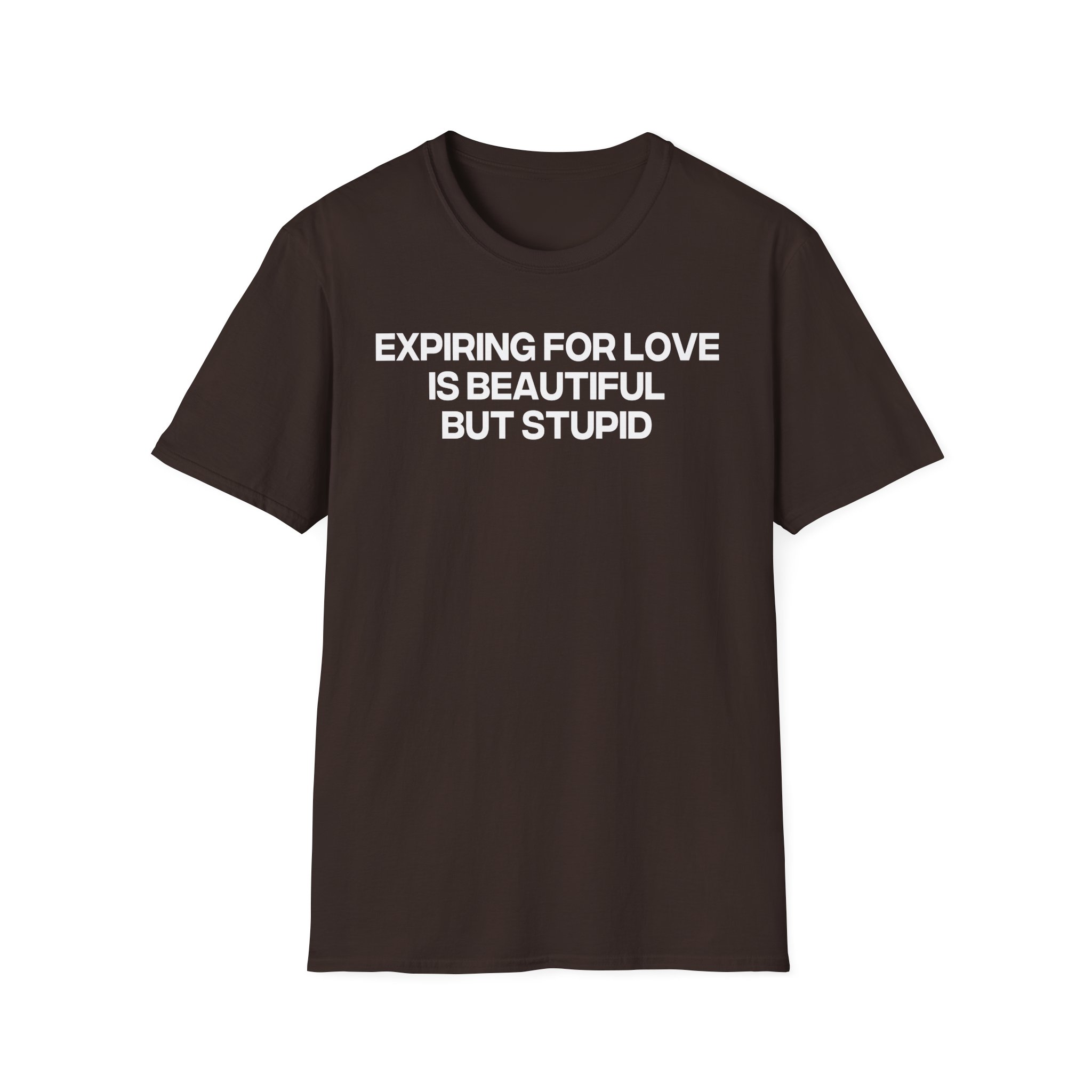 Jenny Holzer Expiring for Love is Beautiful but Stupid Unisex Softstyle T-Shirt