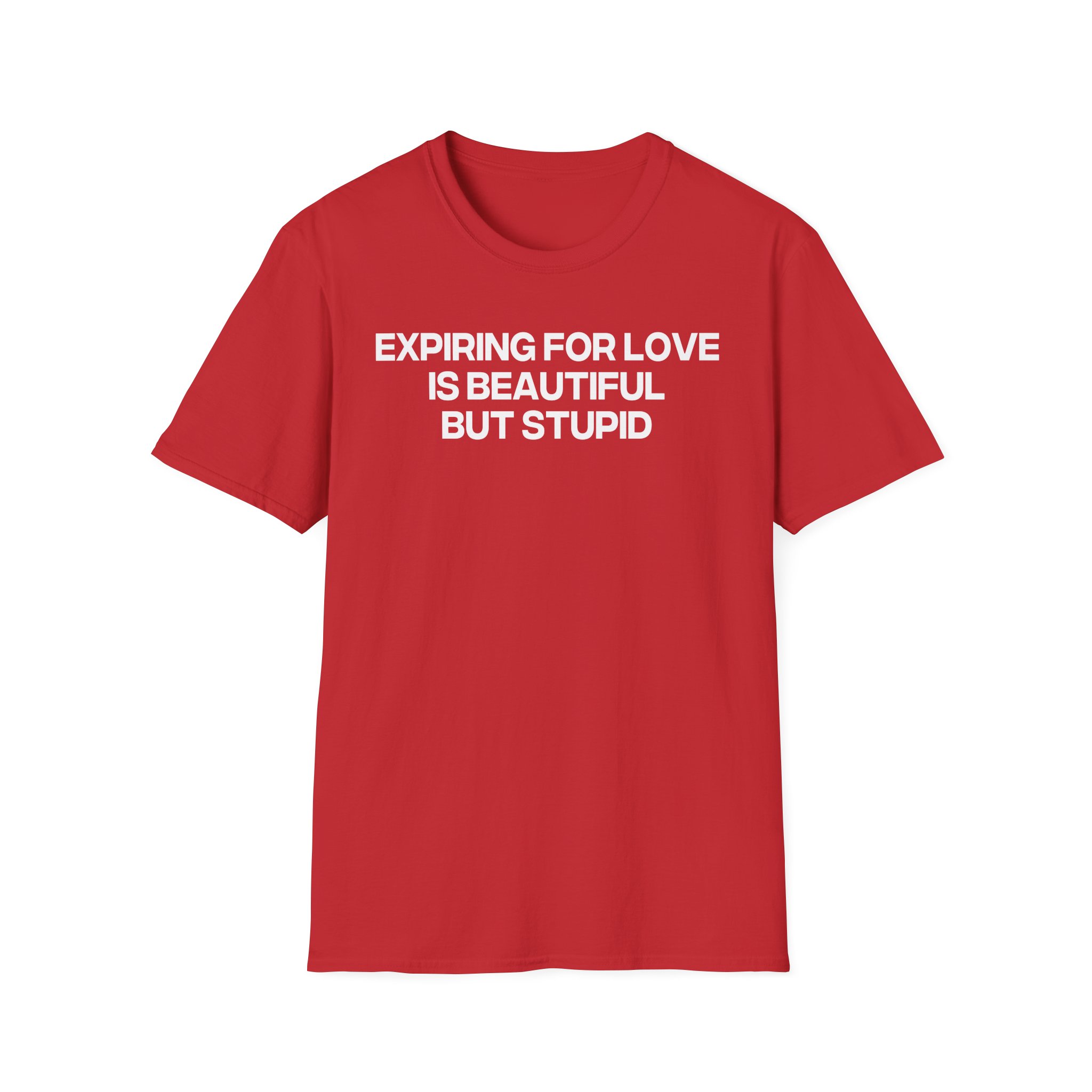 Jenny Holzer Expiring for Love is Beautiful but Stupid Unisex Softstyle T-Shirt