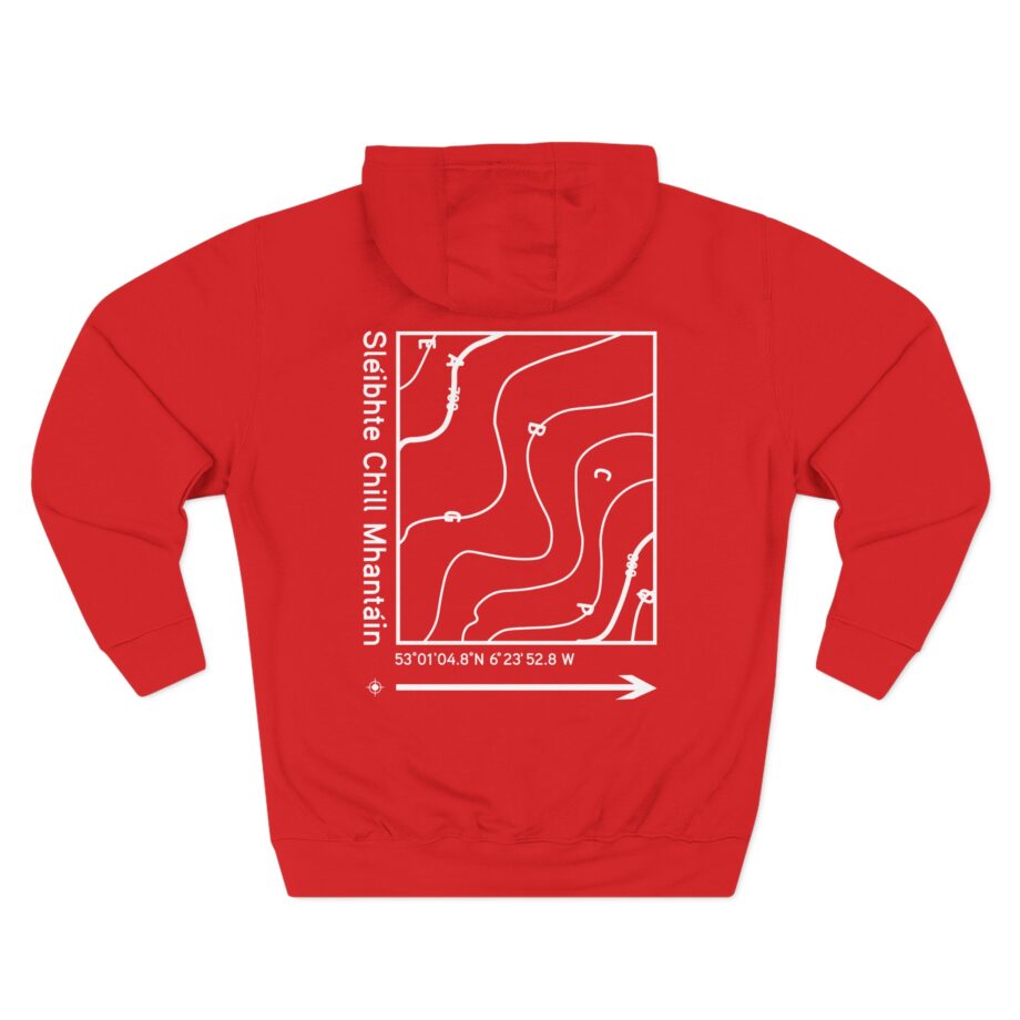 Dermot Kennedy Three-Panel Fleece Hoodie