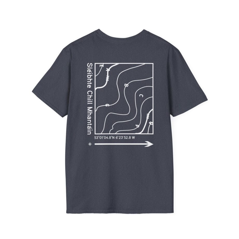 Dermot Kennedy Unisex Softstyle T-Shirt