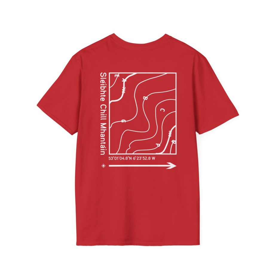 Dermot Kennedy Unisex Softstyle T-Shirt