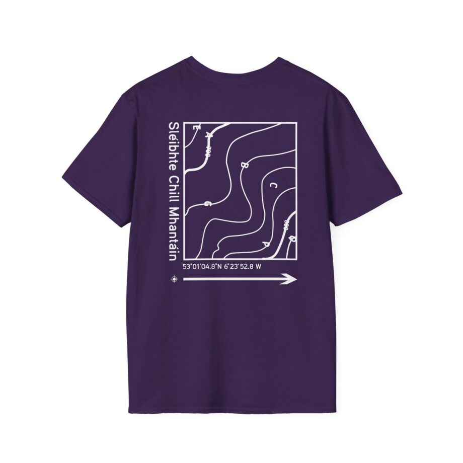 Dermot Kennedy Unisex Softstyle T-Shirt