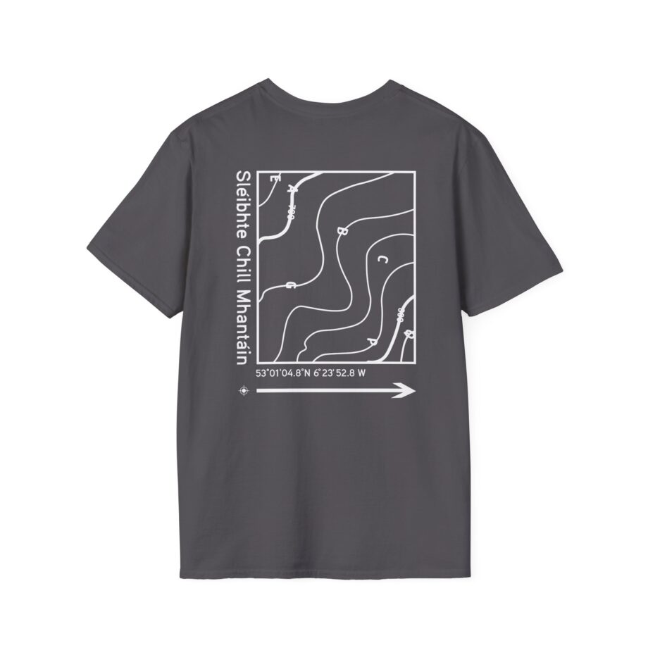 Dermot Kennedy Unisex Softstyle T-Shirt