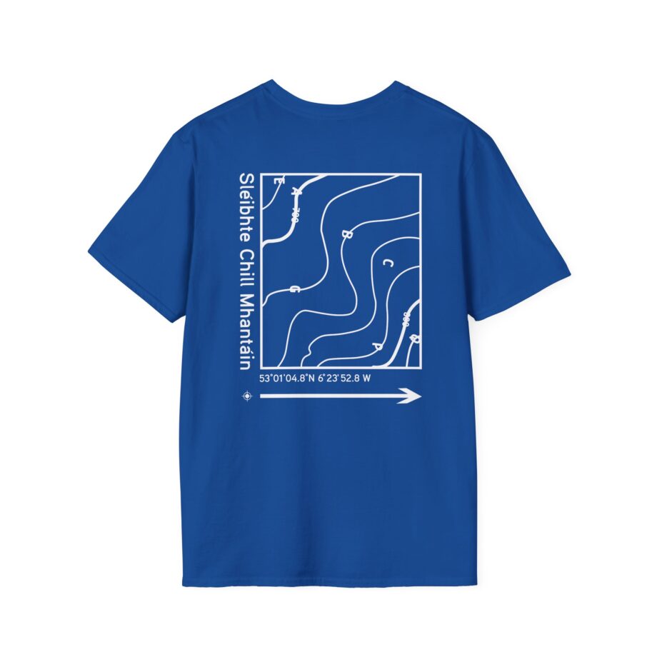 Dermot Kennedy Unisex Softstyle T-Shirt