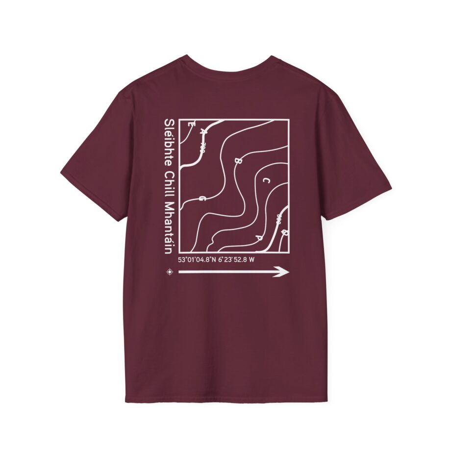 Dermot Kennedy Unisex Softstyle T-Shirt